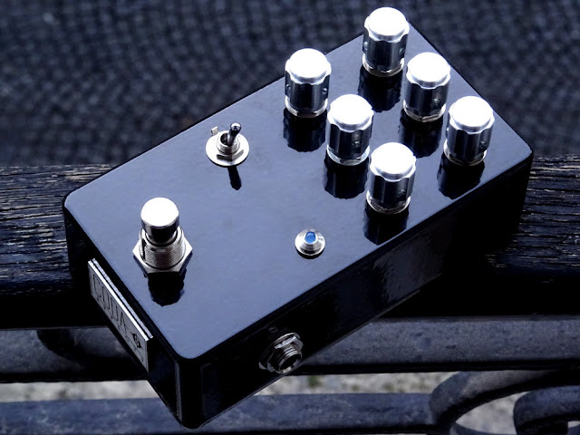 black-hole-sunn-model-T-preamp.JPG