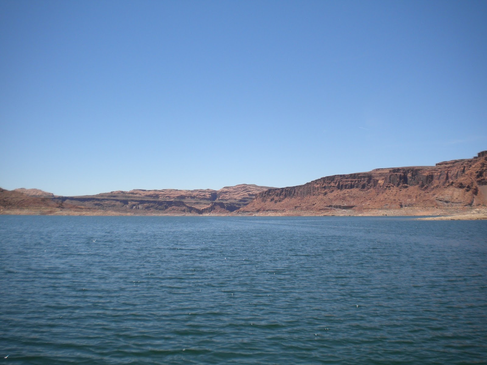 The Rednecks Fly Fishing Chronicles Lake Powell on the fly!