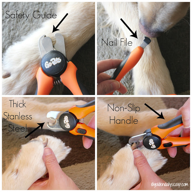 GoPets large dog clippers, grooming tools