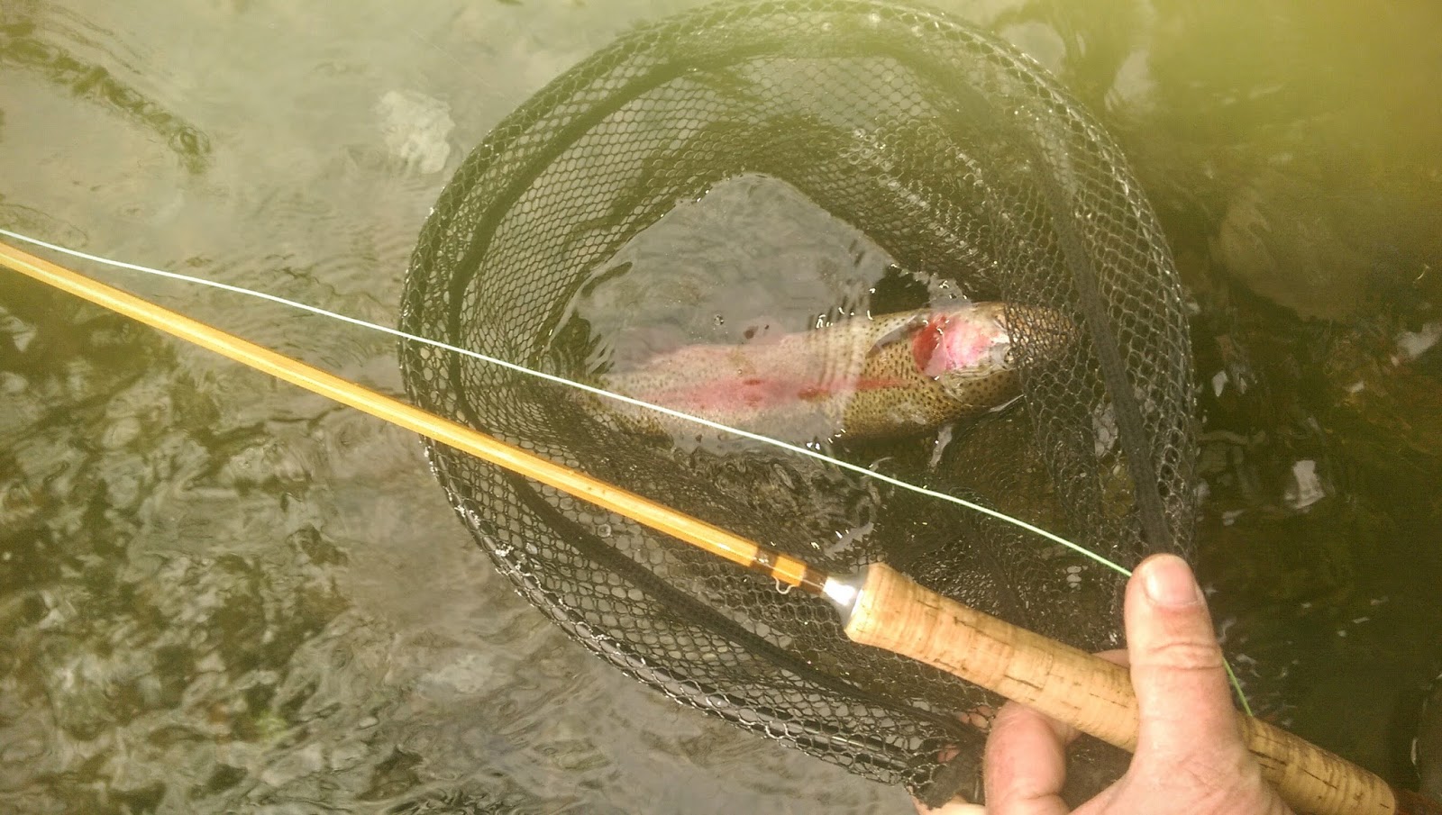 to the Millers River Fly Fishing Forum Fiberglass Vs