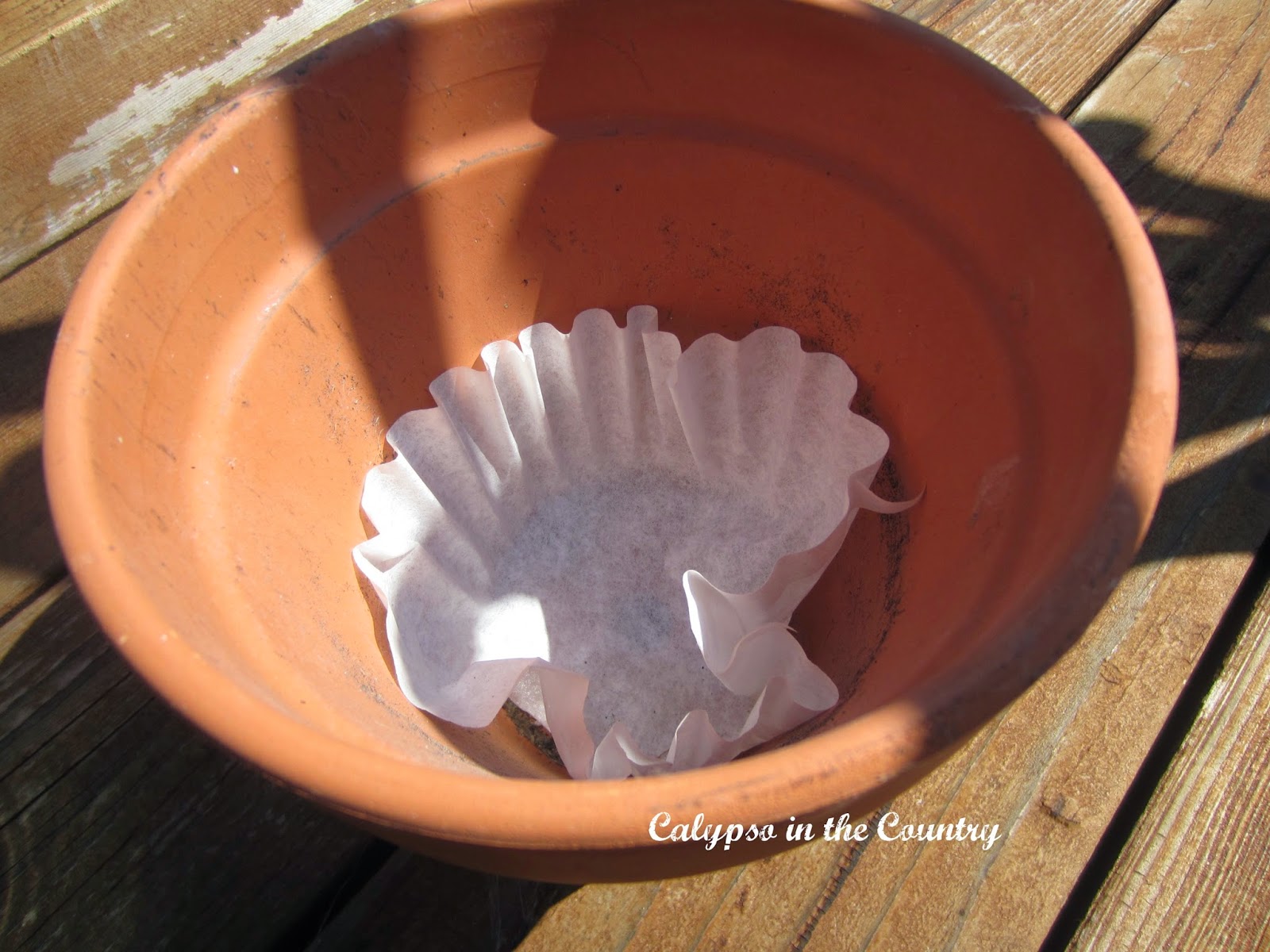 Coffee Filters in flower pot - Helpful Tips for Container Gardening