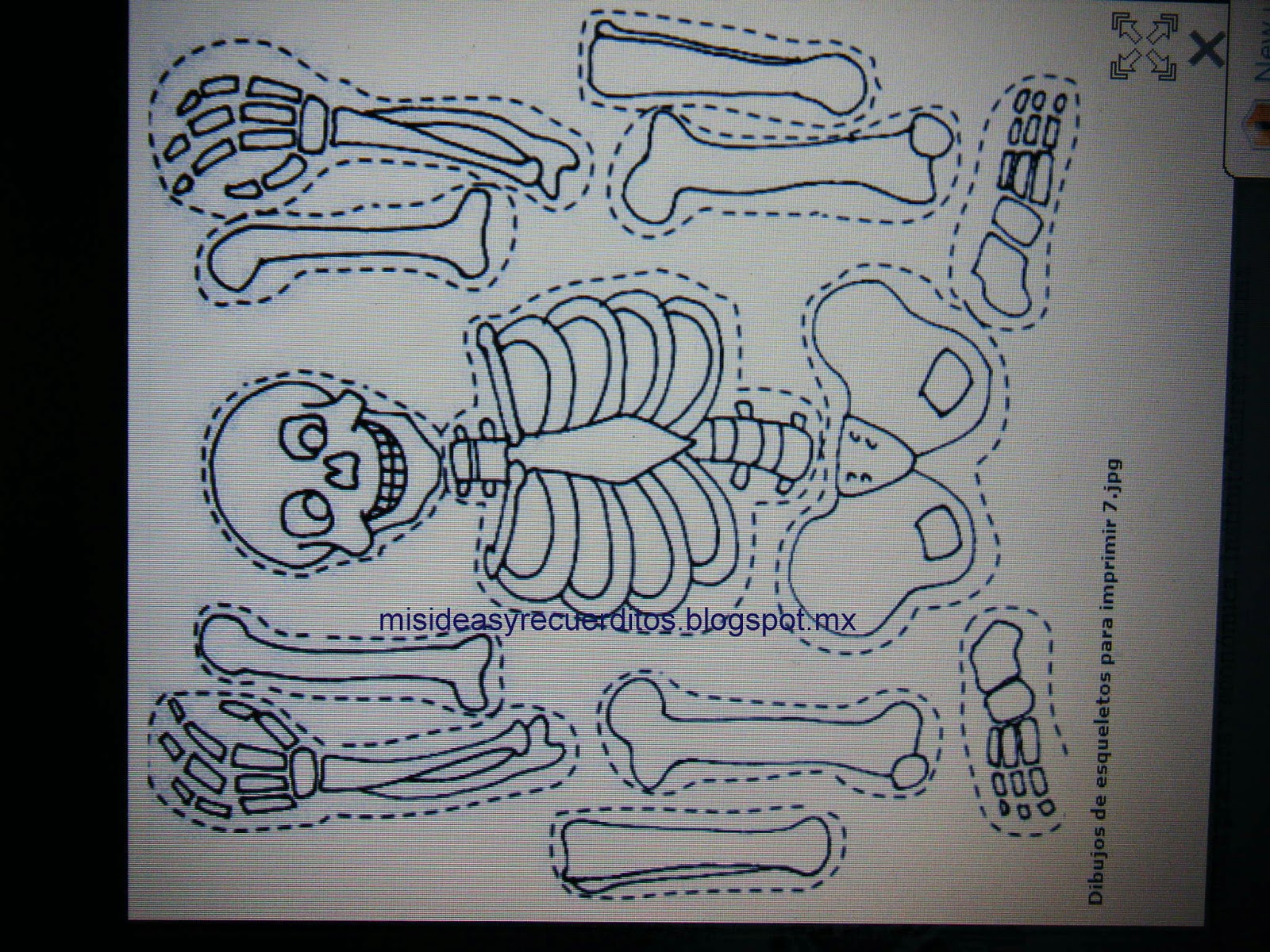 Empleado Más manejo mis ideas y recuerditos: Disfraz de esqueleto