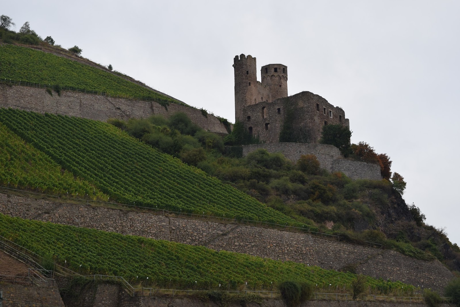 Nrw Aktuell Tv Tumulte In Monheim Am Rhein Massenschlagerei Lost