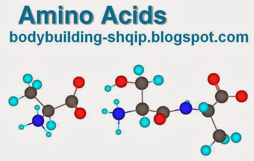 Bodybuilding Sports March 2014