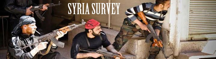 Syria Survey