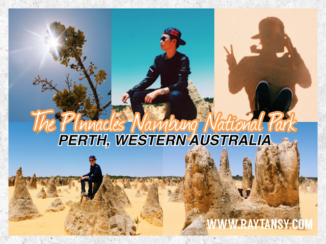 Ray Tan 陳學沿 (raytansy) ; The Pinnacles (Nambung National Park) @ Cervantes, Perth, Western Australia 尖峰石陣 (南本國家公園) 澳洲澳大利亞西澳