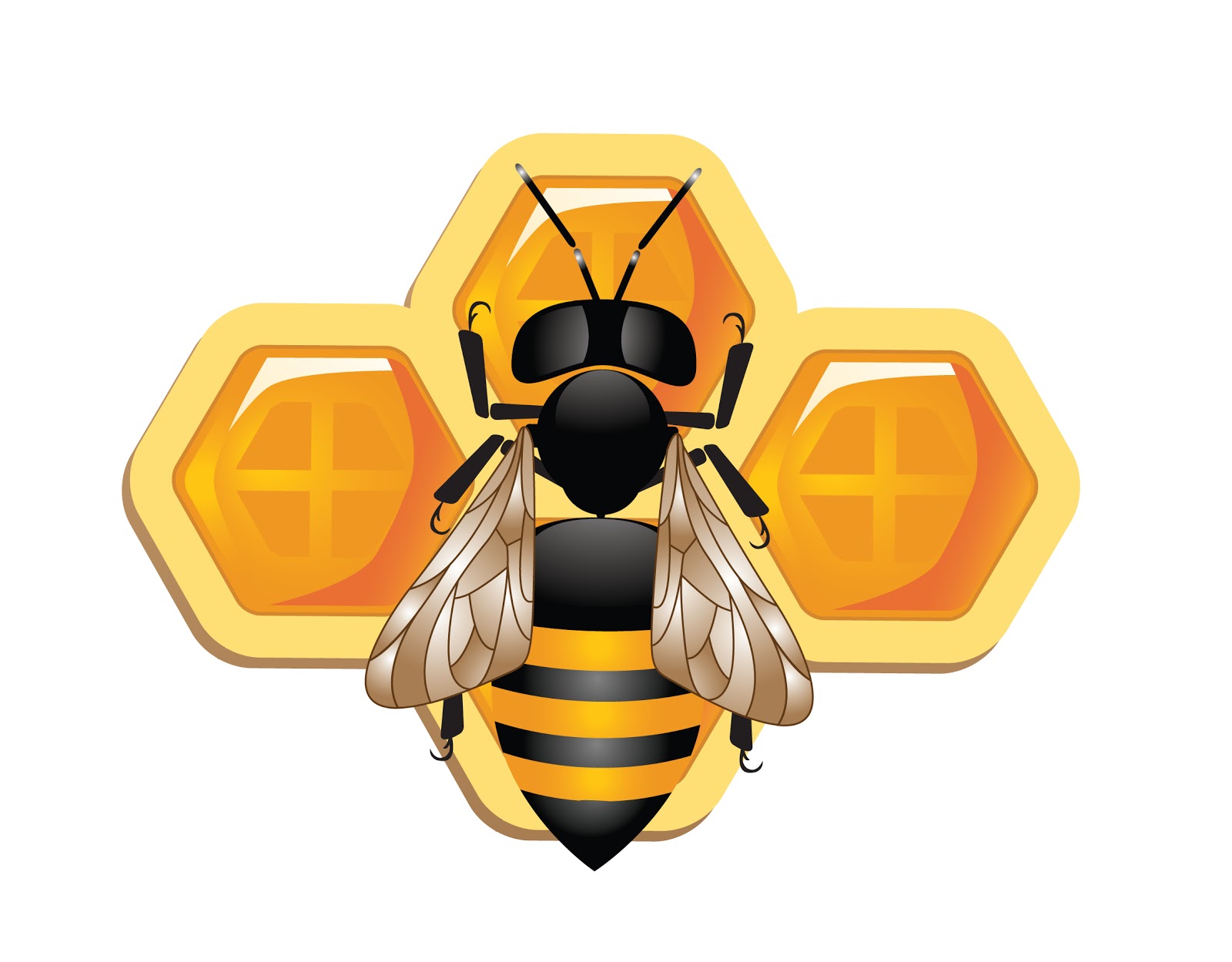 bee clipart vector free - photo #33