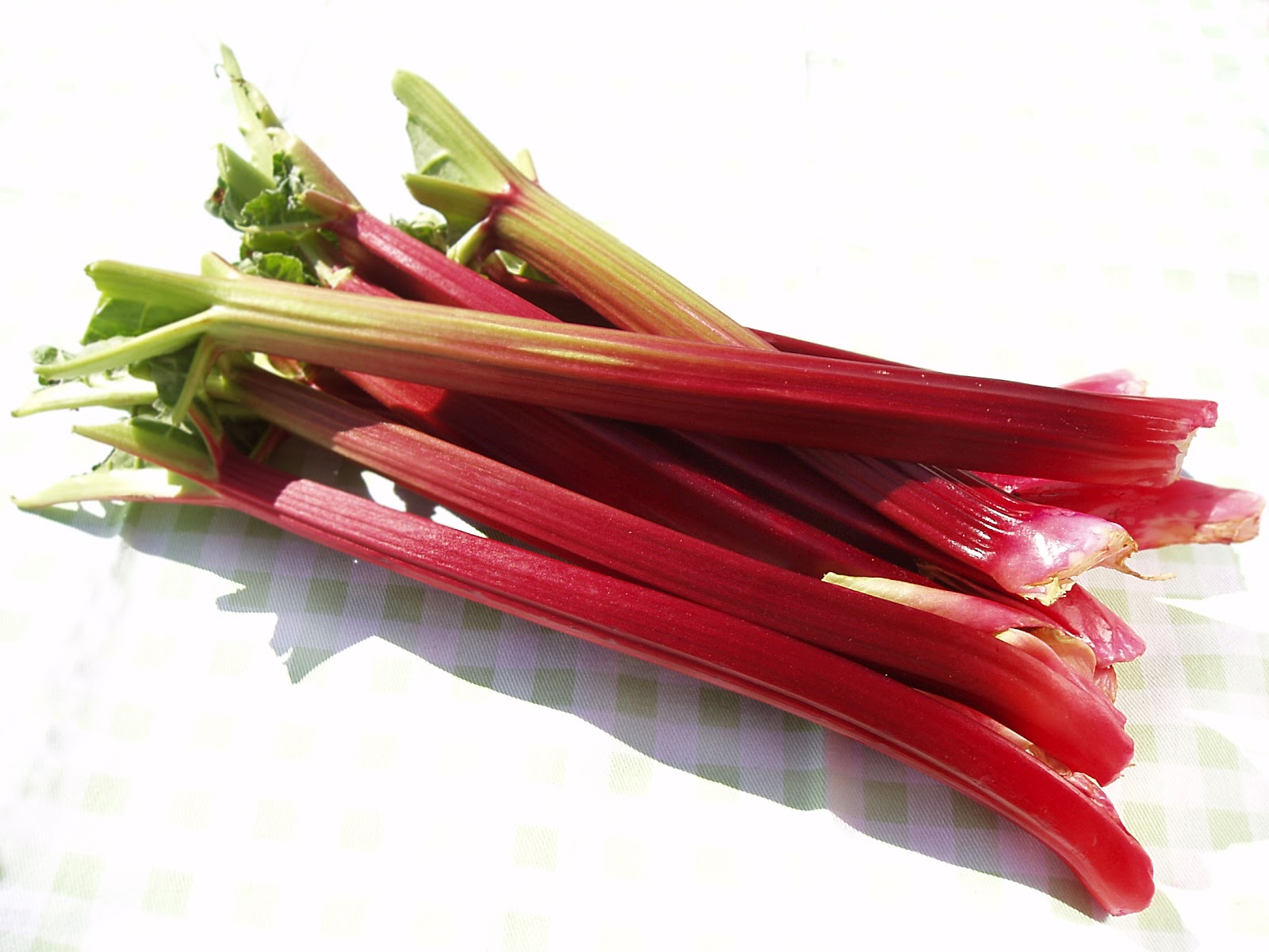 Rhubarb Fruits And Vegetables