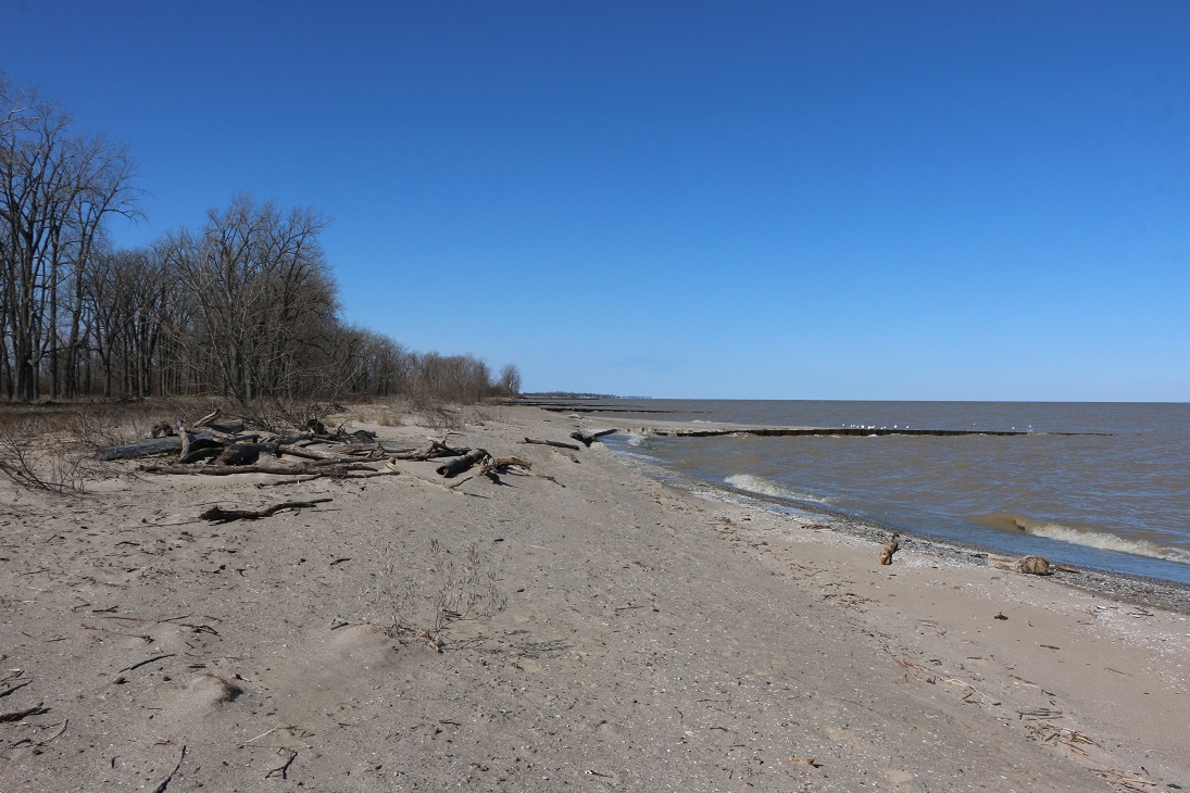 Michigan Exposures A Trip to Magee Marsh Wildlife Area