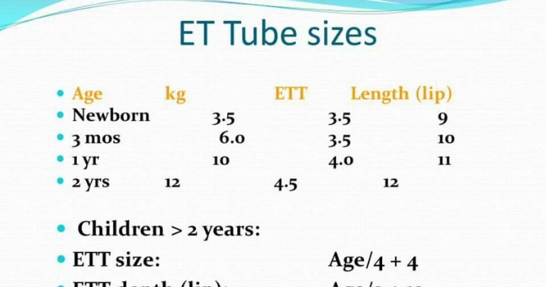 Histology Slides Database ett sizes