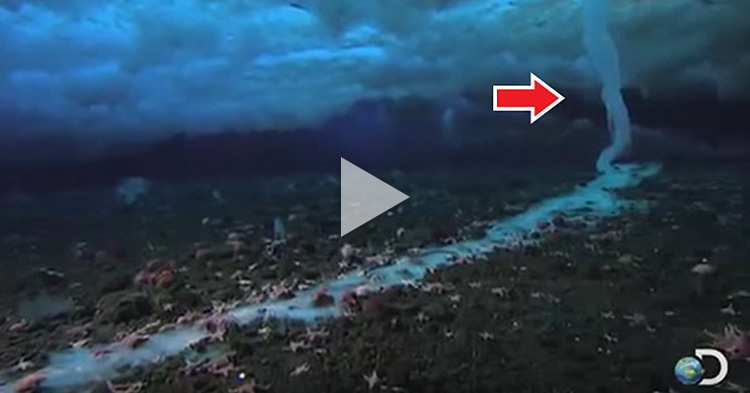 Rare footage of deadly tube of ice that forms under the sea, kills everything its touches