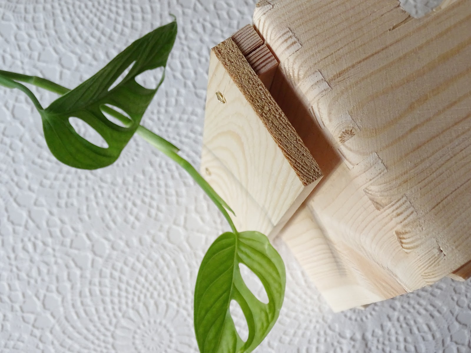 DIY-Blumenkasten zum Aufhängen an Treppengeländern und Galerien plus Pflegetipps und Informationen zur Monstera-Pflanze | https://mammilade.blogspot.de DIY-Blumenkasten zum Aufhängen an Treppengeländern und Galerien plus Pflegetipps und Informationen zur Monstera-Pflanze | https://mammilade.blogspot.de