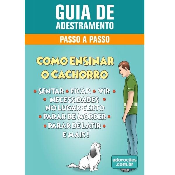 Adestramento de cães