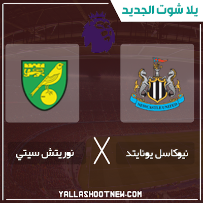 بث مباشر مباراة نوريتش سيتي ونيوكاسل يونايتد مشاهدة مباراة نوريتش سيتي ونيوكاسل يونايتد