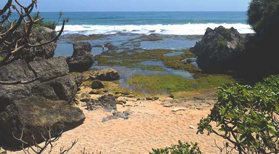 Camping di Pantai Lolang Camping di Pantai Lolang