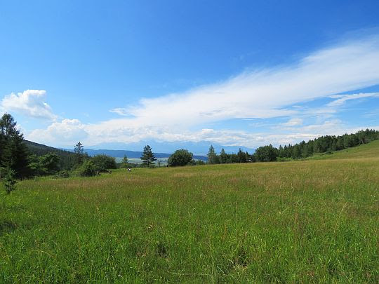 Kláštorisko, lúka (800 m n.p.m.). Kláštorisko, lúka (800 m n.p.m.).