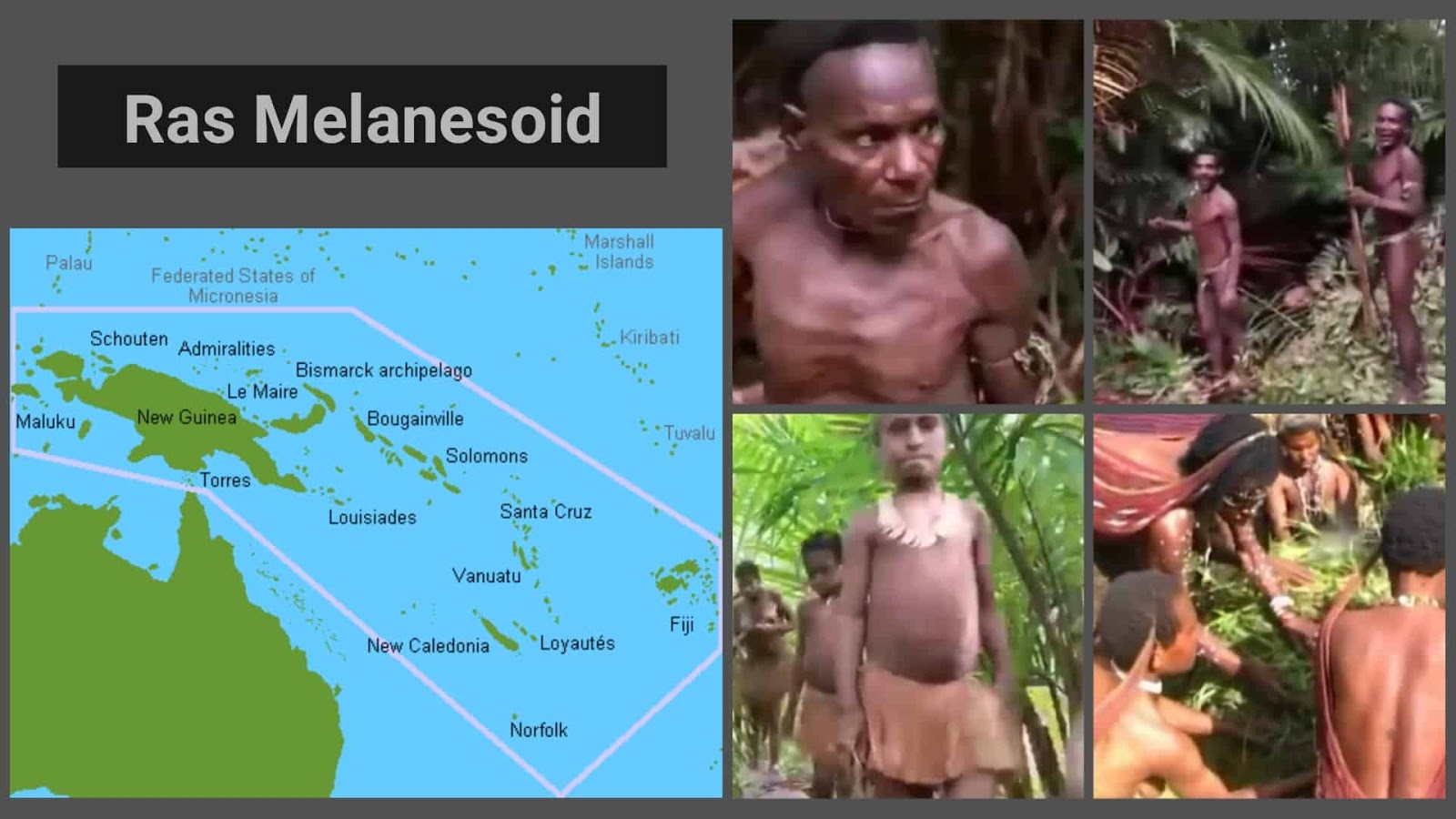 Pengertian dan Ciri-Ciri Ras Melanesoid - Zona Penemuan
