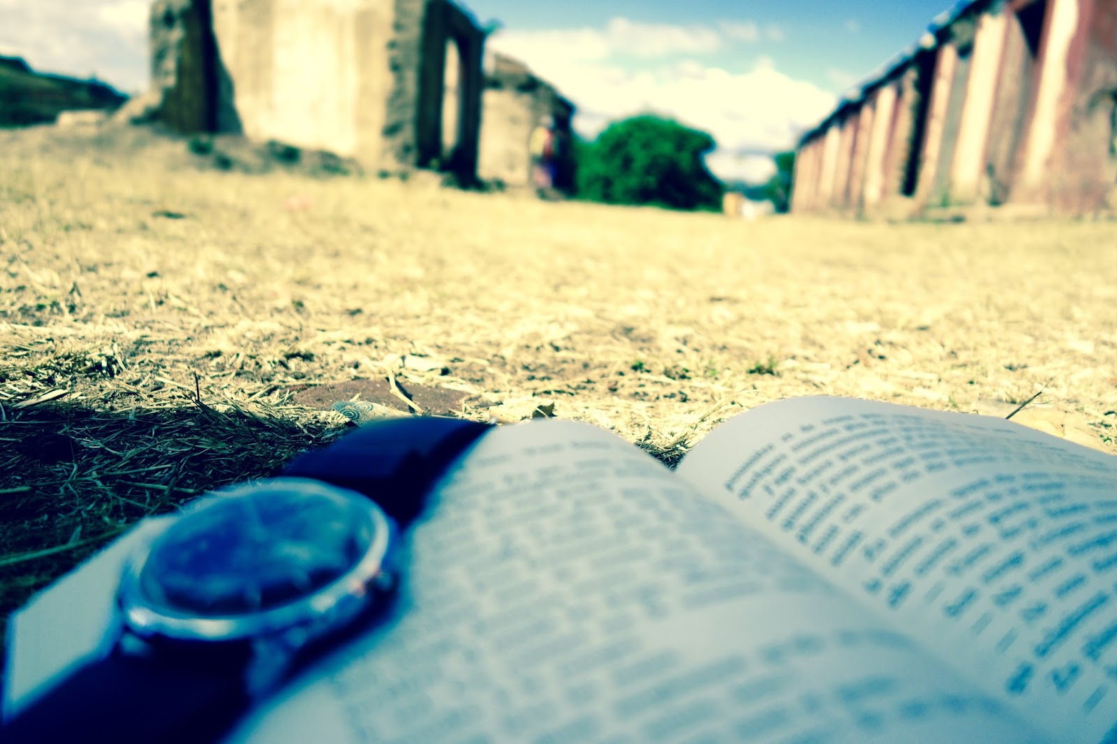 Bareme dissertation eaf 03 image