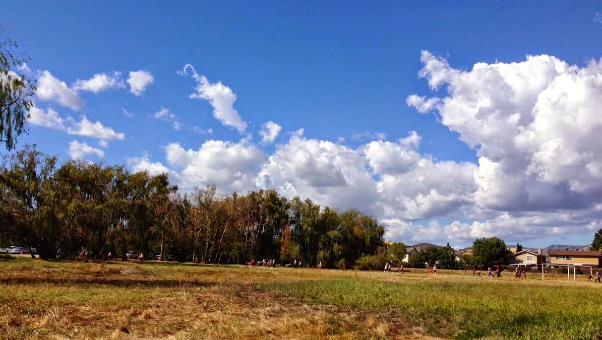 Honey's Treasures Cobb Mountain Retreat