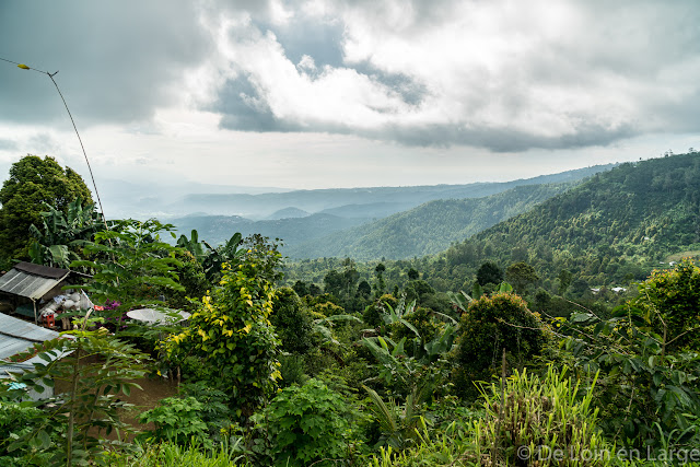 Région de Munduk - Bali