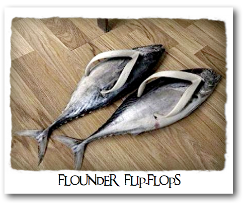 [Image: animal+flounder.png]
