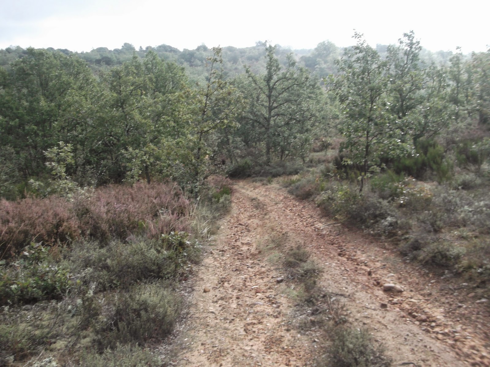 CAMINOS BTT, POR LA PROVINCIA DE LEON. CIMANES DEL TEJAR Y MONTE VALDAGUAS
