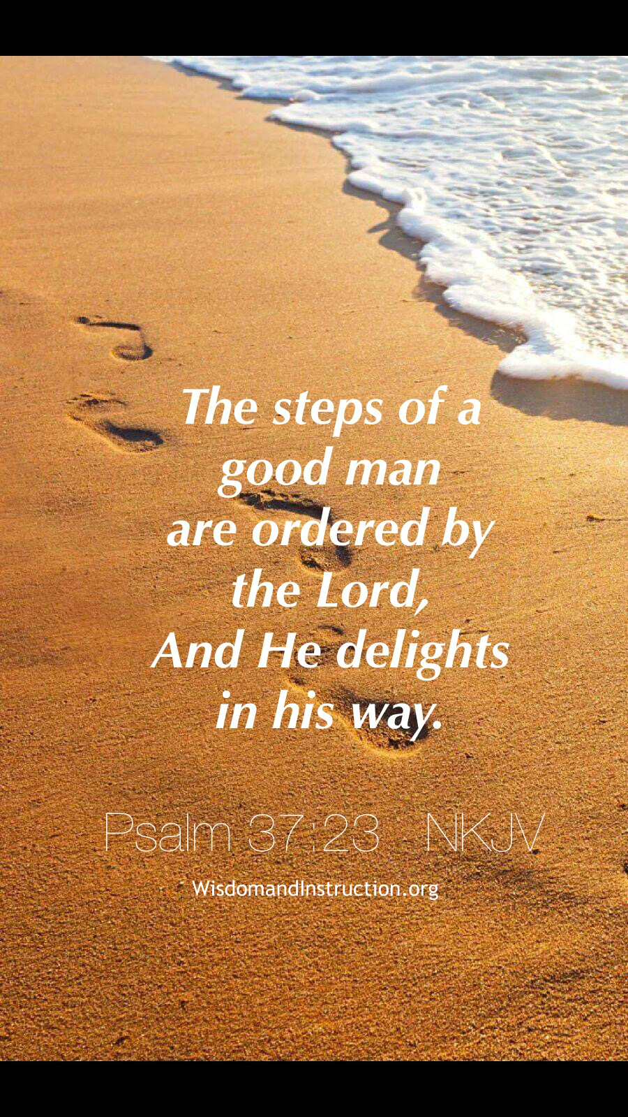 Wisdom and Instruction: Psalm 37:23 NKJV