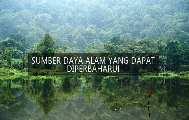 9 Sumber Daya Alam Yang Dapat Diperbaharui Beserta Contohnya