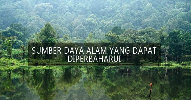 9 Sumber Daya Alam Yang Dapat Diperbaharui Beserta Contohnya