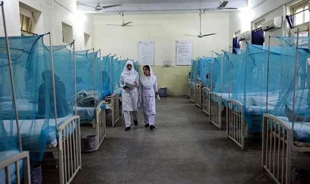 Dengue fever has returned to 28,12 patients recovering