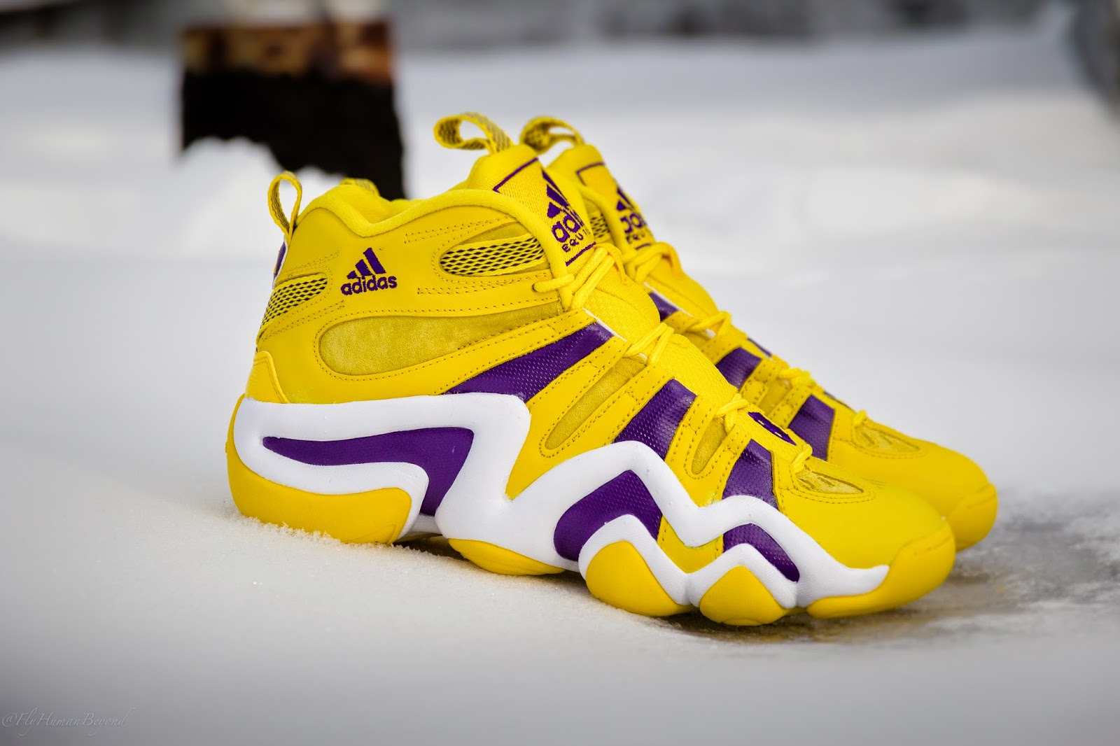 Adidas Basketball Crazy 8 Lakers Packer Shoes PACKER SHOES | Fashion and Style | Tips and Body Care