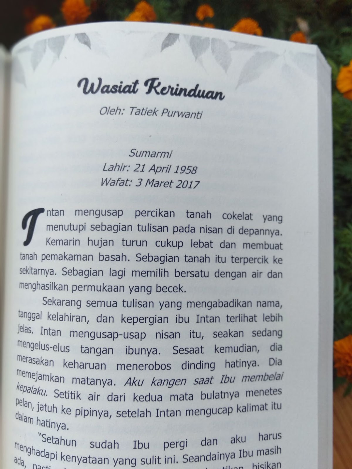 Sebuah Cerpen Wasiat Kerinduan Qonitatku Com