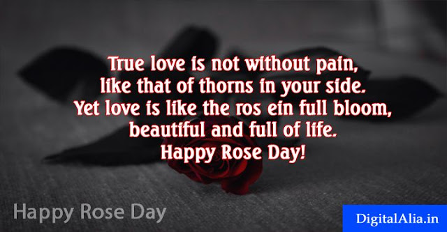 Happy Rose Day Spacial Images rose day images, rose day greeting cards, rose day wallpaper, rose day hd photos, rose day images download, rose day images for girlfriend, rose day quotes with images, rose day images for boyfriend, rose day images for wife, rose day images for husband, valentine week spacial images for crush