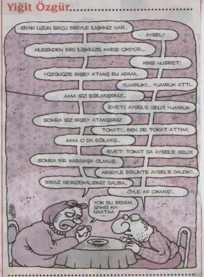 Seçmece Karikatürler 2013