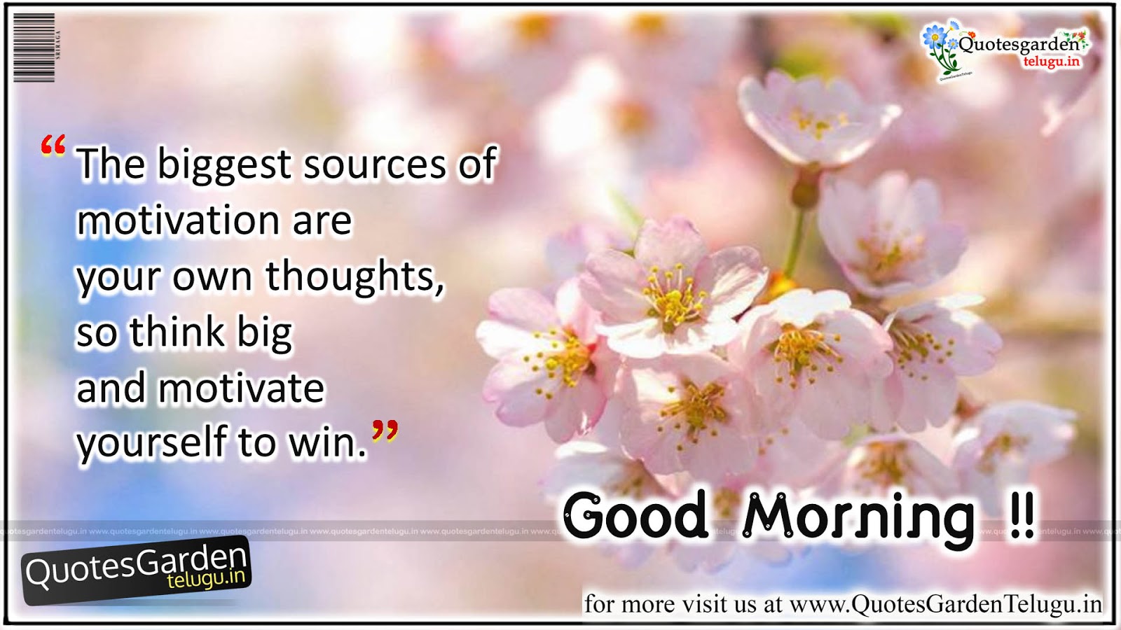 Daily Good morning Quotes wishes HD wallpapers | QUOTES GARDEN ...