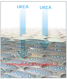 Ingredienti-FitLine-Clear-Skin-vivinsalute.blogspot.it Urea