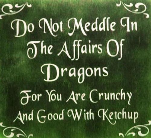 Do not meddle in the affairs of dragons picture