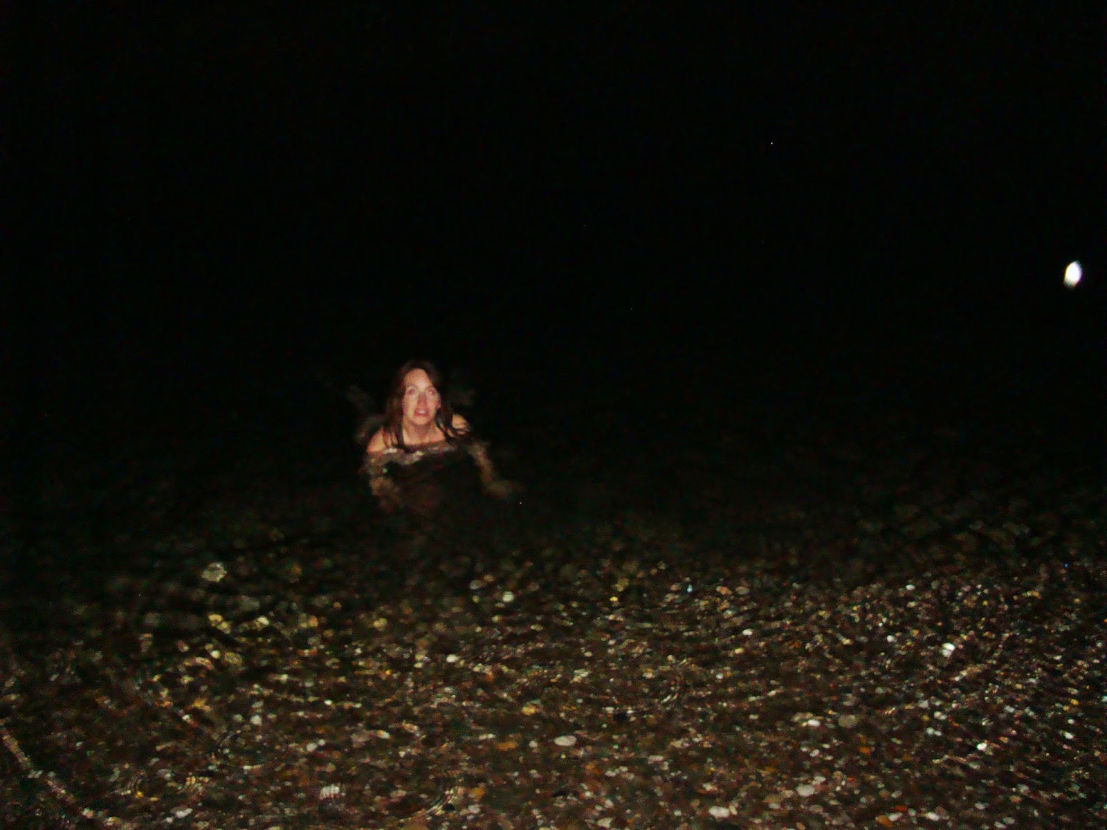Morwhenna The Creative Adventurer Skinny Dipping By Moonlight