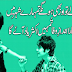 Dil wale to or Bhi Hongey Tumhare Shehar Main