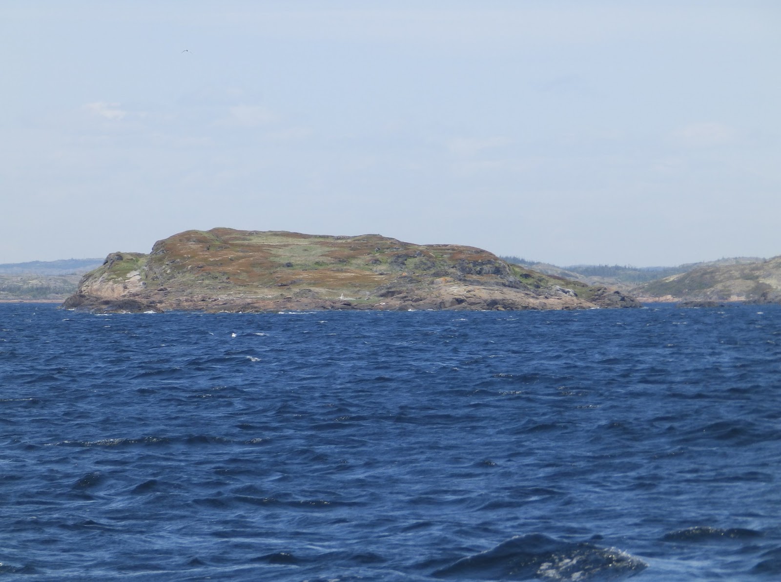 Northern Exposure 2013 Baie De La Tabatiere, Quebec