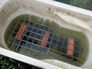 Self-watering Bathtub - Easy to Make, Easy to Grow Food