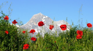 The music on the hill mountain of music