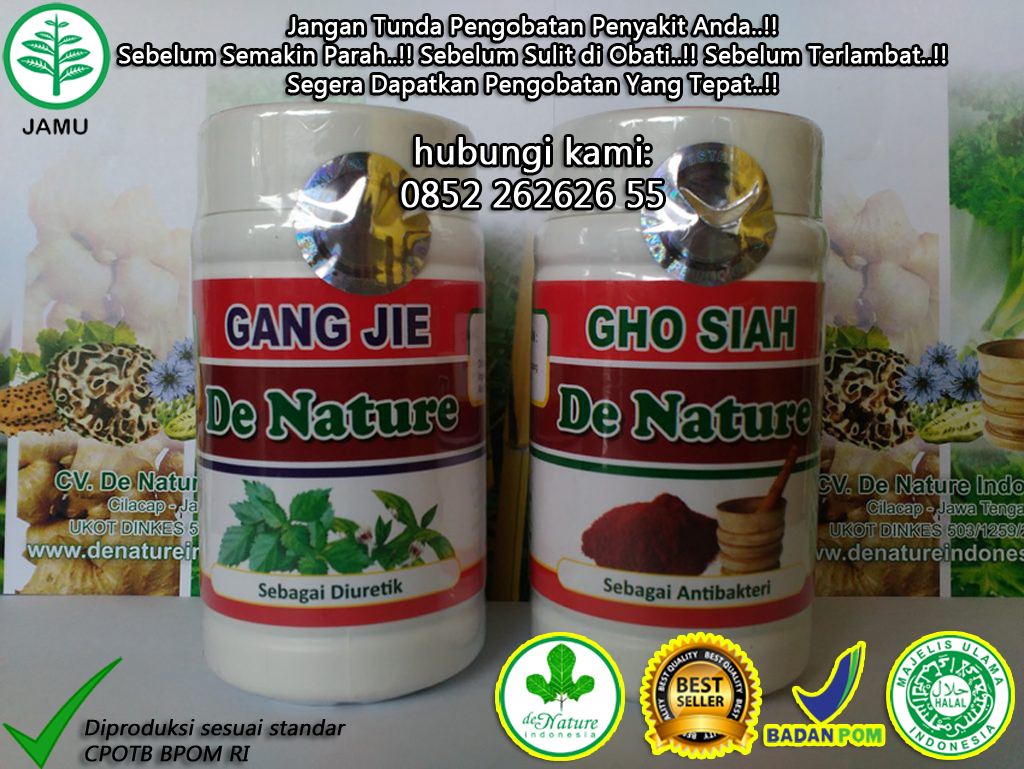 Obat Sipilis Raja Singa Di Apotik