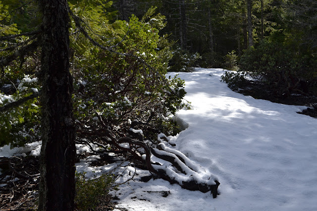 thick snow