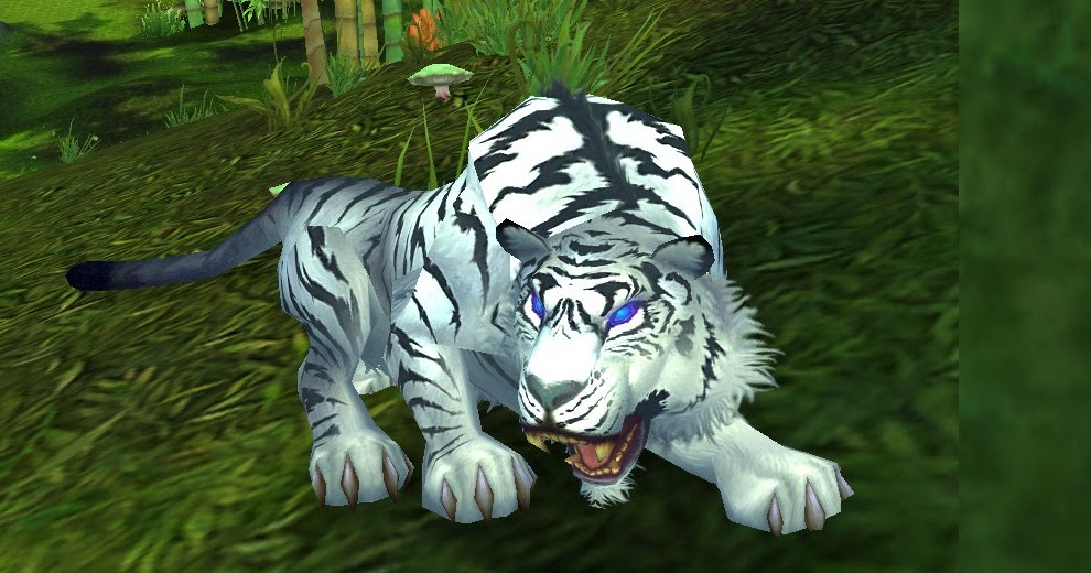 Wow Cat Pet Sit Druid Back Wow Cat Pet Sit Druid Back