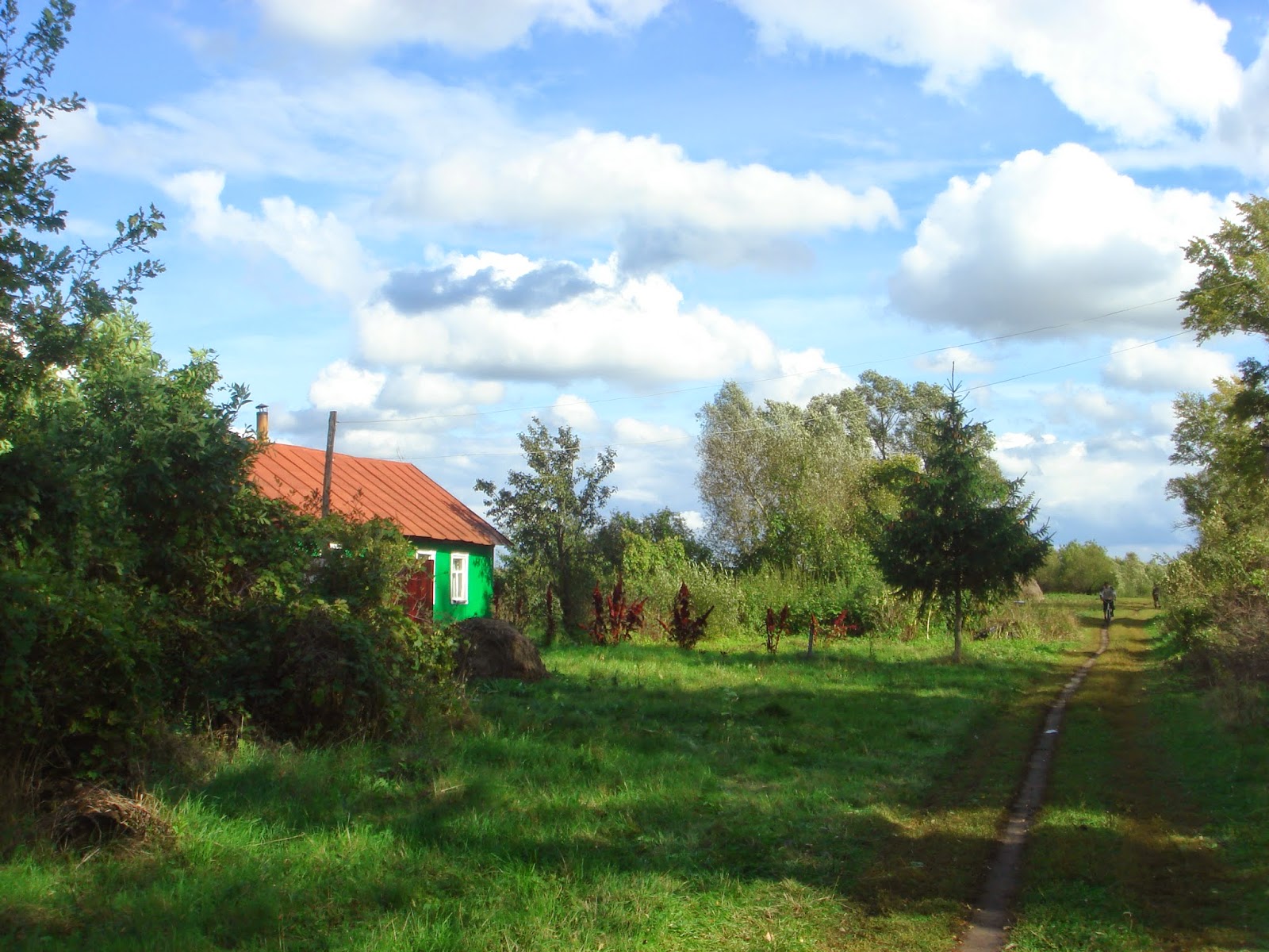 деревня под курском. деревня курская область. деревня под курском. заброшенные села курской области. деревня под курском.