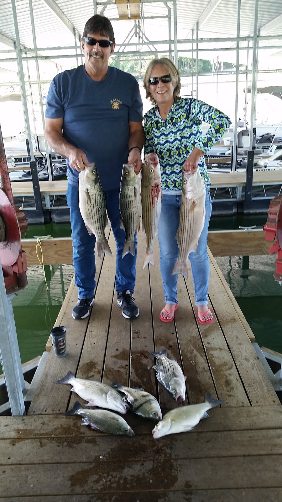 Hummingbird Hideaway Resort on Norfork Lake Norfork Lake Fishing