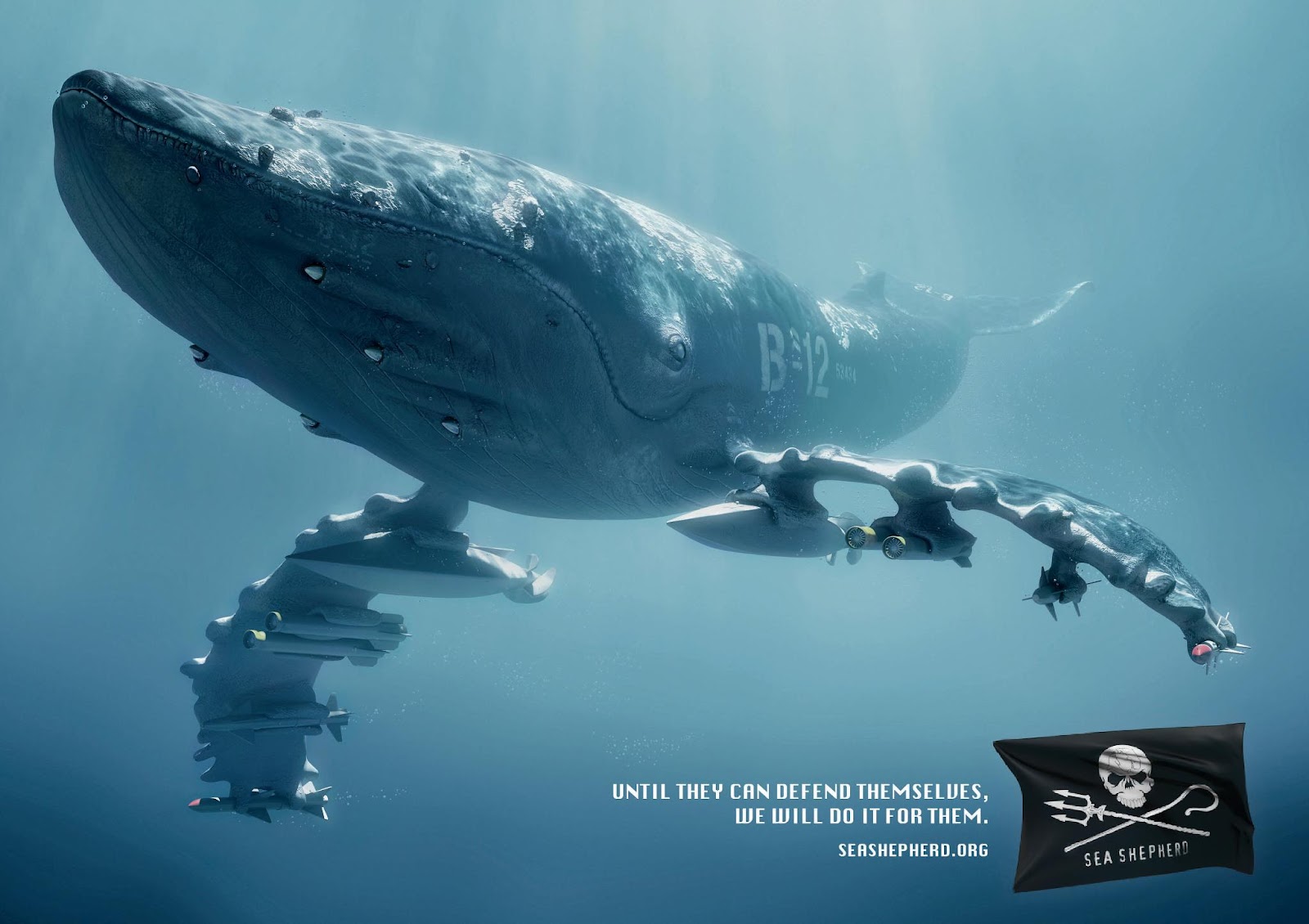 Viralmente Sea Shepherd Campaign