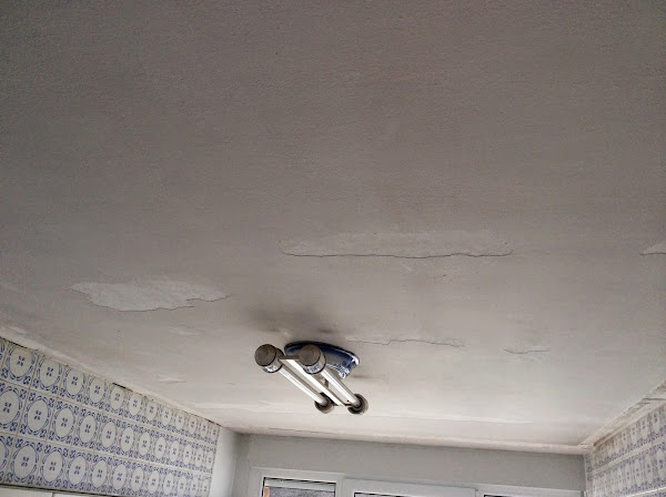 Imagen 0