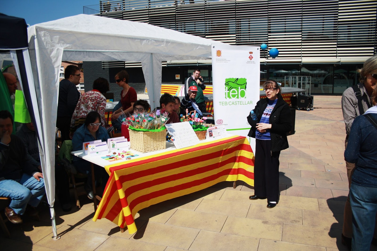 TOT SON PUNTS DE VISTA SANT JORDI 2013